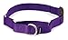 PetSafe Martingale Dog Collar with Quick-Snap Buckle - Petite, 3/8 Inch, Deep Purple