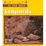 In the Wild: Leopards