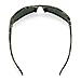 Flying Fisherman Buchanan Polarized Sunglasses with AcuTint UV Blocker for Fishing and Outdoor Sports