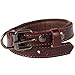 Logical Leather Padded Dog Collar - Best Full Grain Heavy Duty Genuine Leather Collar - Brown - Small