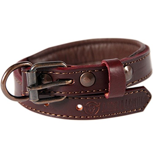 Logical Leather Padded Dog Collar - Best Full Grain Heavy Duty Genuine Leather Collar - Brown - Small