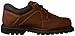 Cat Footwear Men's Ridgemont Shoe