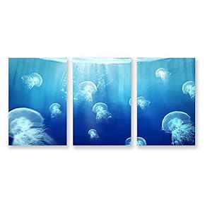 3 Panel Jellyfish in Deep Sea Pictures Home...