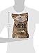 Ultimate 2018 US Military MRE Complete Meal Inspection Date January 2018 or Newer (Beef Stew)