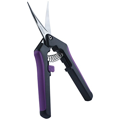 Apollo Horticulture Precision Curved Blade Pruner Shears for Gardening