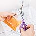 Kombucha Scoby and Starter Tea, Live Kombucha Starter Liquid, Kombucha Tea Starter Culture, Brew Kombucha at Home, Makes a 1 Quart Batch of Kombucha, No Vinegar, No Artificial Flavors