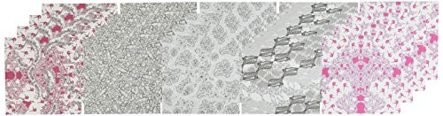 Aitoh RJR-04 Riggsbee Design Origami Paper, 6-Feet by 6-Inch, 20 Sheets