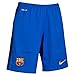 Nike 2015/16 Mens FC Barcelona Goalkeeper Stadium Shorts [BRIGHT BLUE]