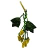 Critters-Choice-Acorn-Nibbler-Chew-Toy-for-Small-Animals Critters Choice Acorn Nibbler Chew Toy for Small Animals