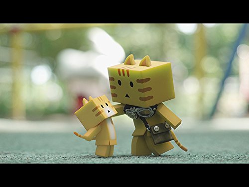 Amazon Co Jp にゃんぼー を観る Prime Video