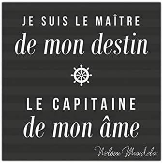 Sud Trading Tableau Mural Toile Citation Nelson Mandela Je Suis Le Maitre De Mon Destin Le Capitaine De Mon Ame 40x40cm Amazon Fr Cuisine Maison