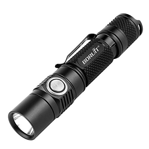 Top 10 torches small Infestis Reviews