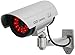 UniquExceptional UDC4silver Fake Security Camera with 30 Illuminating LEDs (Silver)