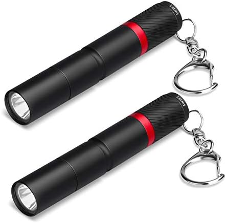 LETMY Super Small Mini LED Flashlight, Ultra Bright Pen Light with Key Chain - Best EDC Flashlight for Gift, Camping, Outdoor, Emergency (2 Pack)