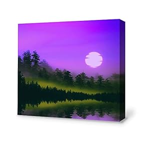 for Living Room Bedroom Home Artwork Paintings Secret...