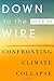 Down to the Wire: Confronting Climate Collapse - Book by David Orr