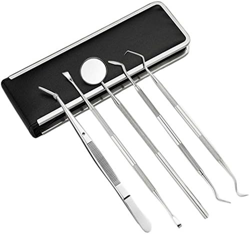 Health Dental Tools for Hygienist Full Set - Made of Stainless Steel,Dental Tools to Remove Tartar and Clean Your Teeth (L)