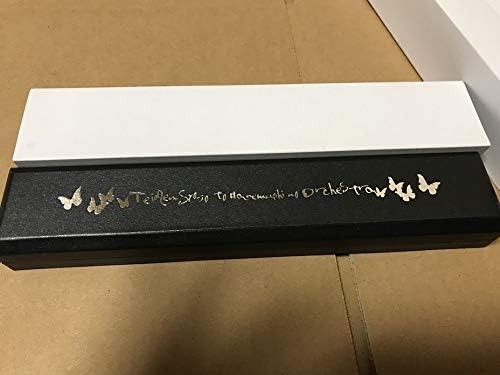 停電少女と羽蟲のオーケストラ シルバーネックレス ５種類 コンプ 希少品 Svietimocentras Lt