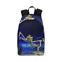 VvxXvx A Cute Little Rainbow Crab Casual Daypack Travel Bag College School Backpack for Mens and Women