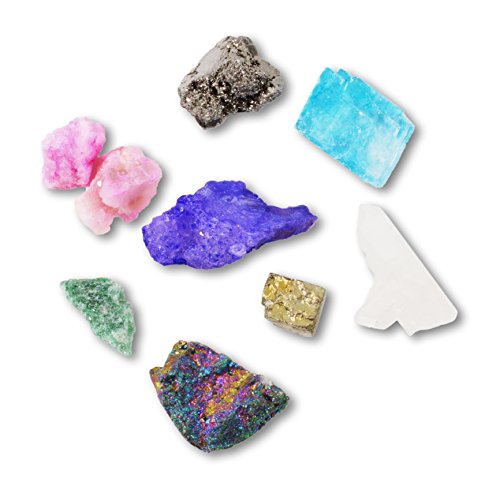 Fossil & Crystal Box Collection - Set of Two Boxes! Great Starter Kit