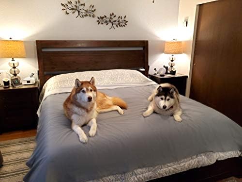 Amazon Com Silly Legacy Thin Reversible Waterproof Protective Cover Or Liner For Bed Or Couch For Dogs And Cats Queen 82 X 78 Gray Home Kitchen