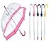 Rainbrace Transparent Bubble Umbrella Auto Open, Fashion Dome Shape with Color Trim