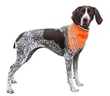 AKC Pet Safety Bandana with Reflective Stripes, Medium, Orange, My Pet Supplies