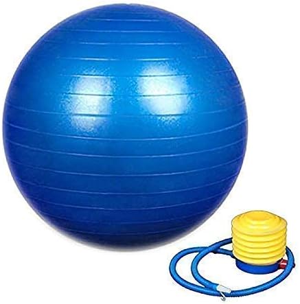 KWT ABS, Polyvinyl Chloride Gym Ball With Pump, Size Medium, (Multicolour)