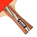Allprosportz Ping Pong Paddle - Complete ping Pong Paddles Set of 4 - Including 4 Table Tennis Paddles - 8 Premium 3 Star ping Pong Balls - Adjustable net Suit Any ping Pong Table - Storage case