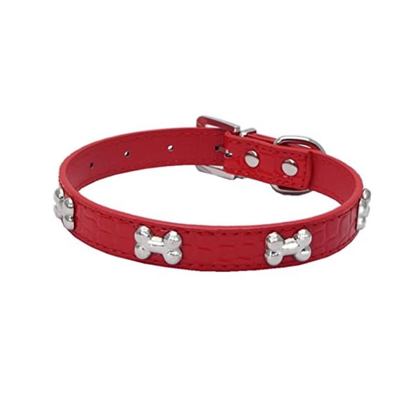 Howstar Pet Collar, Puppy Collar Adjustable Bling Bone Necklace Dog