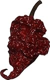 Carolina Reaper Chili Peppers Wicked Reaper World's Hottest Dried Spice 10 Pack +2 Free