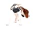 PABS, Pet Anti-Breeding System Chastity Belt for Dogs, Dog Diaper Alternative, Dog Chastity Belt Female (Please See Video) (Size Small – 8-15lbs)