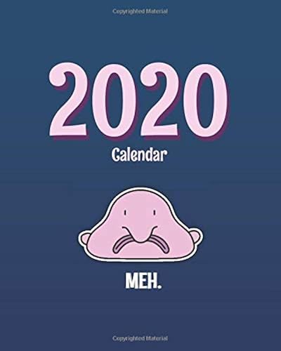 Download Blobfish 2020 Calendar: Weekly & Monthly Planner and Organizer for Time Management Meh (January - December) PDF