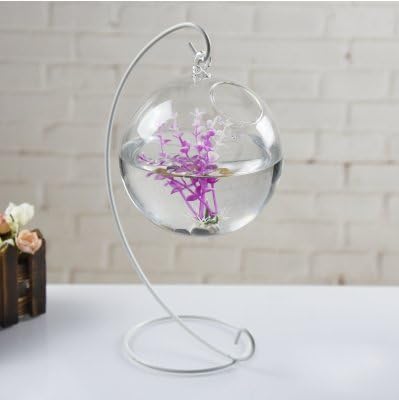 Lotefong Creative Decorative Hanging Ornaments Home Furnishing Glass Vase Water Transparent European Romantic Art New Aquarium,Small Single Hole White Stone Frame Random Plants