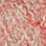 Lion Brand Homespun Yarn (405) Parfait