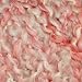 Lion Brand Homespun Yarn (405) Parfait
