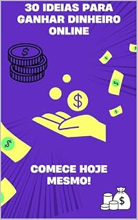 Livro 30 Idéias para ganhar dinheiro Online