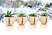 Japanese Style Artificial Succulent Plants in pot- Set of 4 Mini fake succulent plants Artificial Succulent Plants fake succulent plants in pot faux succulent plants fake cactus succulents - Set of 4