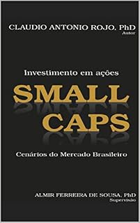 Investimento em ações Small Caps: Cenários do mercado brasileiro