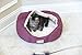 Armarkat Cat Bed 18-Inch Long C08HJH/MH, Burgundy and Beige