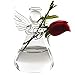TOOGOO(R) Praying Angel Vases Crystal Transparent Glass Vase Flower Containers Hydroponic Containers Home Decorations Decor