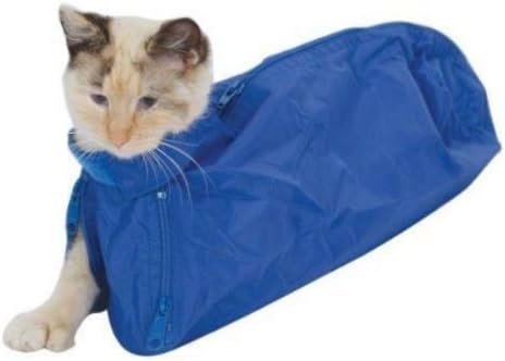 cooked oxtail bones for dogs