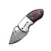 KUBEY KU66 Small Knife, Folding Knife and Pocket EDC, Drop Point Blade with Thumb Open, Rosewood Handle with Lanyard, for Outdoor Hunting Camping and Hiking (KU66-1)