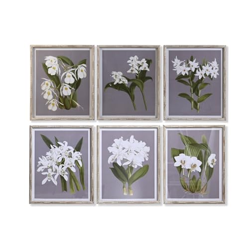 CUADRO CRISTAL ABETO 50X2,8X60 FLORES 6 SURT.