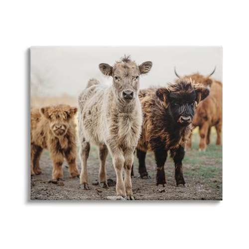 Stupell Industries Baby Calves Farmhouse, 16 x 20 Inch Canvas Wall Art