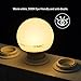 LEDGLE 5W Globe Light Bulbs G25 E26 LED Bulbs 50W Incandescent Bulb Equivalent,500lm Vanity Light Bulbs 3000K Warm White, 270 Beam Angle, Make Up Light Bulbs, Non-Dimmable (5 Pack)