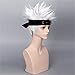 COPLY Men Silver White Short Anime Cosplay Wigs with Headwear Halloween wig Synthetic Wig 35cm 14