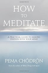 How to Meditate: A Practical Guide to Making Friends with Your Mind