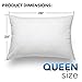 Shredded Latex Plus Pillow with 300 Thread Count 100% Cotton Dual Chamber Shell – Pillows Crafted, Stuffed, and Sewn in USA