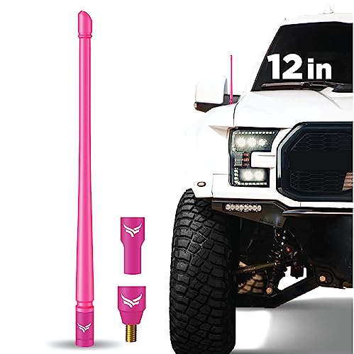 EcoAuto Radio Antenna for Trucks